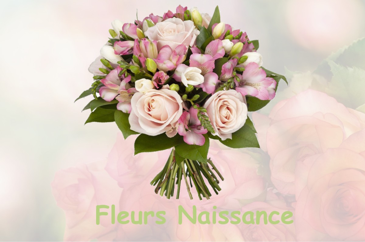 fleurs naissance LE-VIGNAU