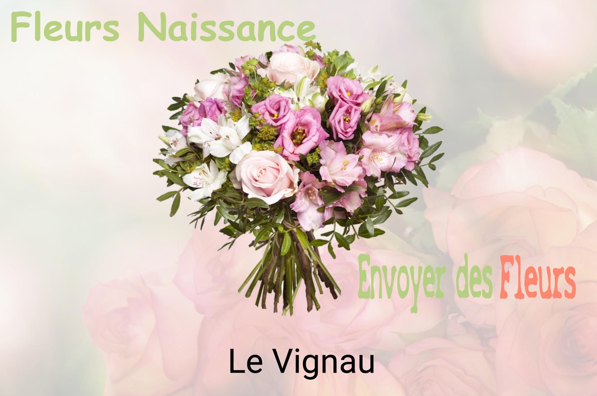 Bouquet de fleurs de naissance livré à Le Vignau