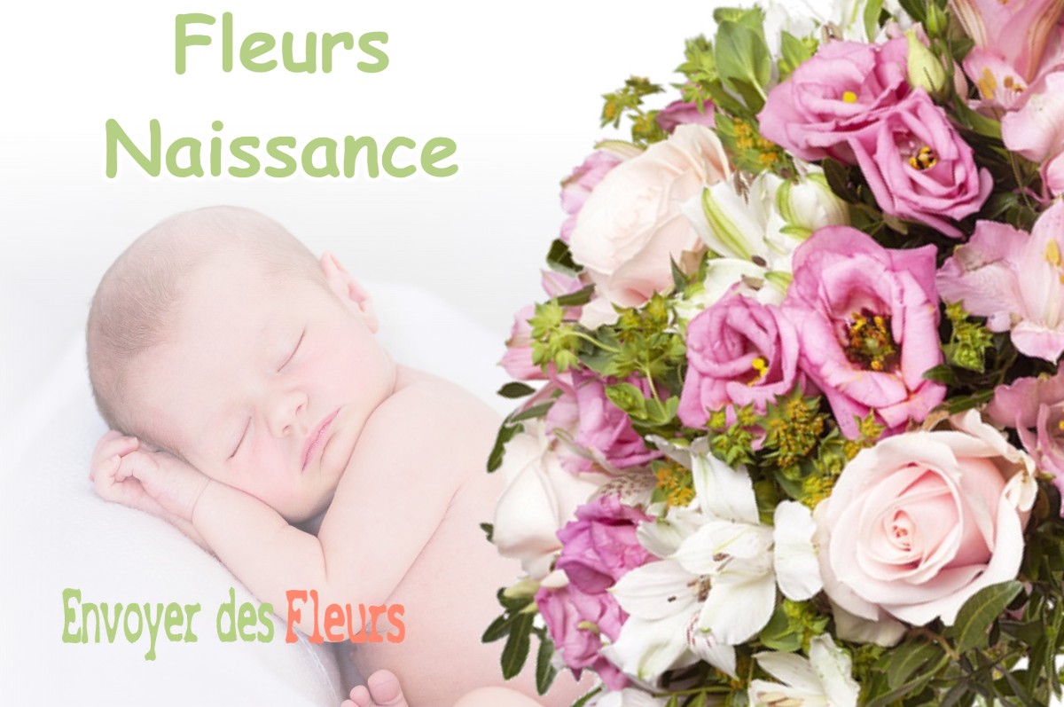 lIVRAISON FLEURS NAISSANCE à LE-VIGNAU